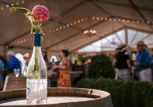 Come, Sit, Stay, Brunch!