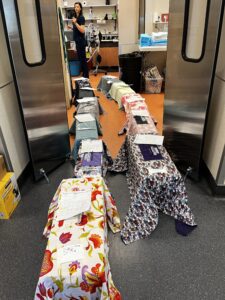 Choo Choo Feral Train