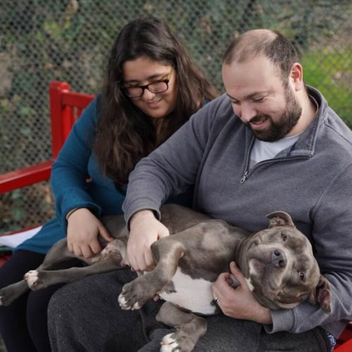 Family with their dog sitting on a bench